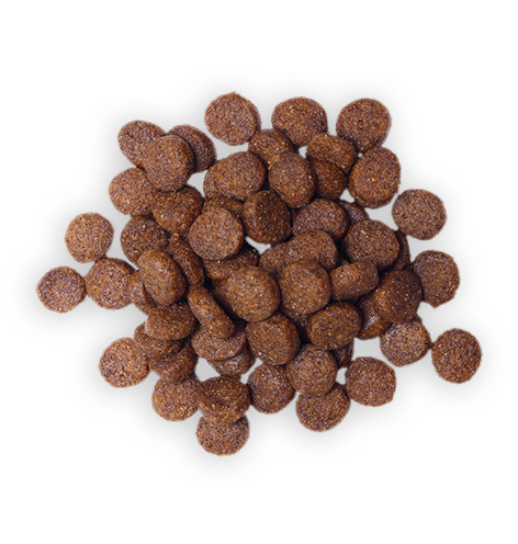 Dog food food-transparent-17